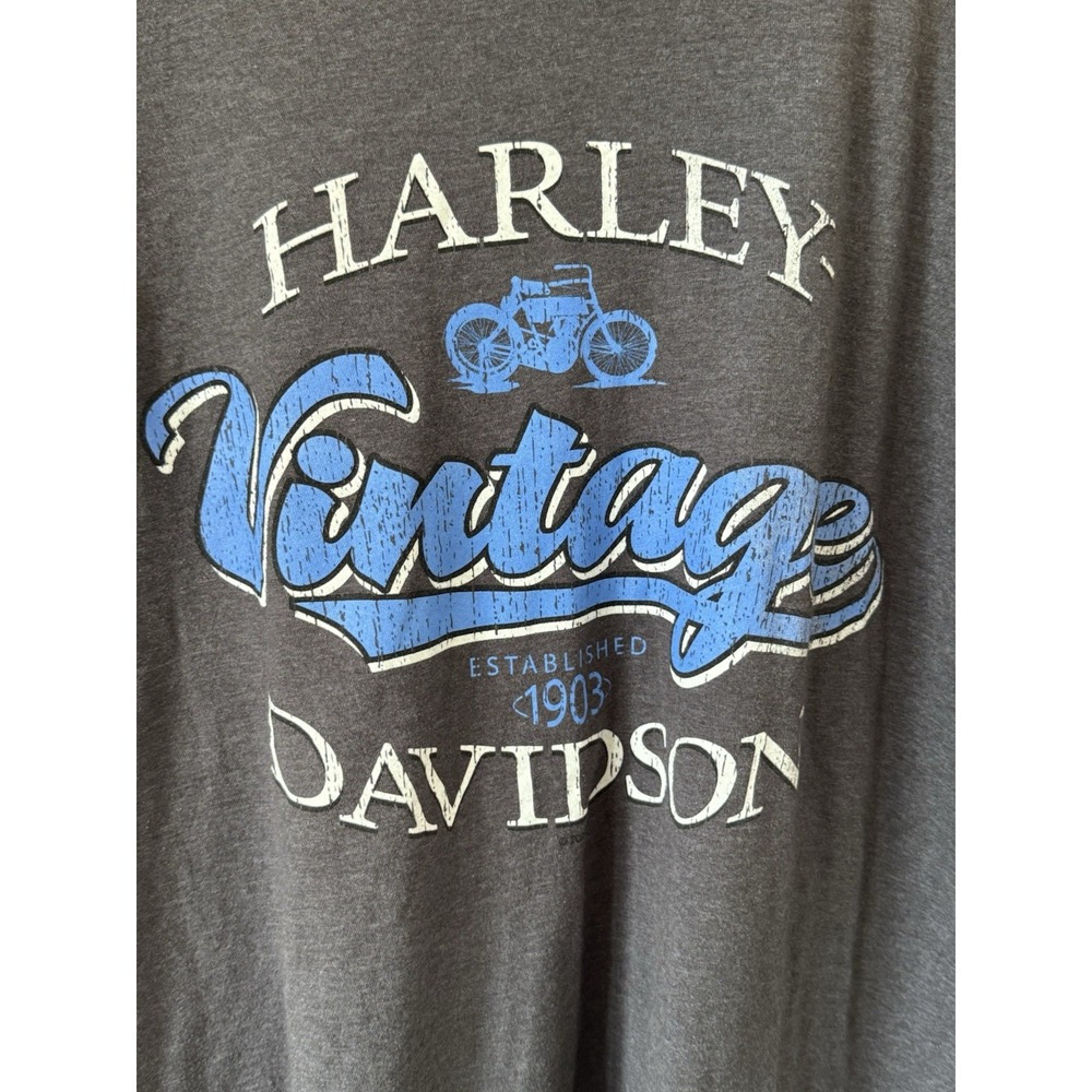 Harley-Davidson Mens Large Double Sided Graphic T Shirt Indianapolis Indiana